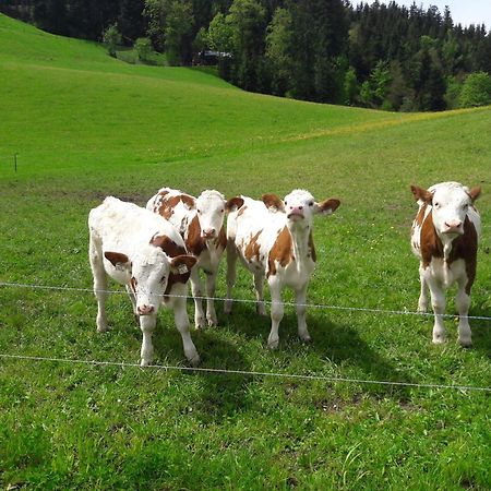 Bio-Bauernhof Niederlehen Villa Fieberbrunn Eksteriør bilde